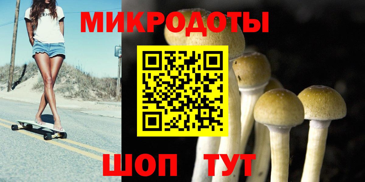 Галлюциногенные грибы Psilocybine cubensis Барабинск